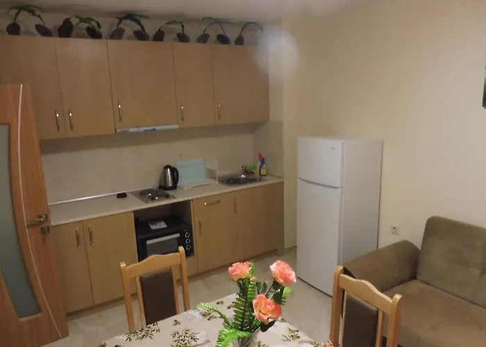 招待所 Viktoria 帕莫瑞