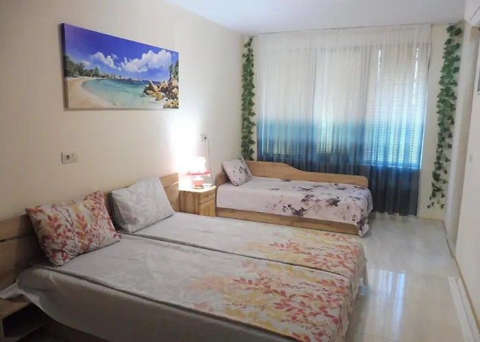 招待所 Viktoria 帕莫瑞