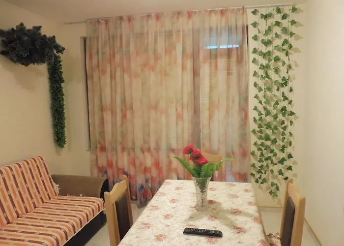 Viktoria Guest house