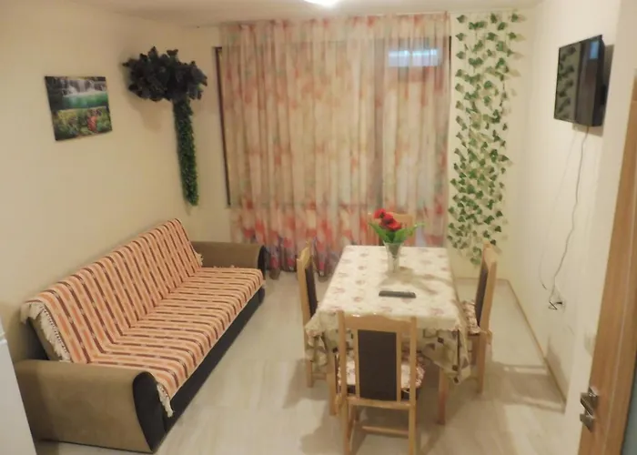 Guest house Viktoria 4*