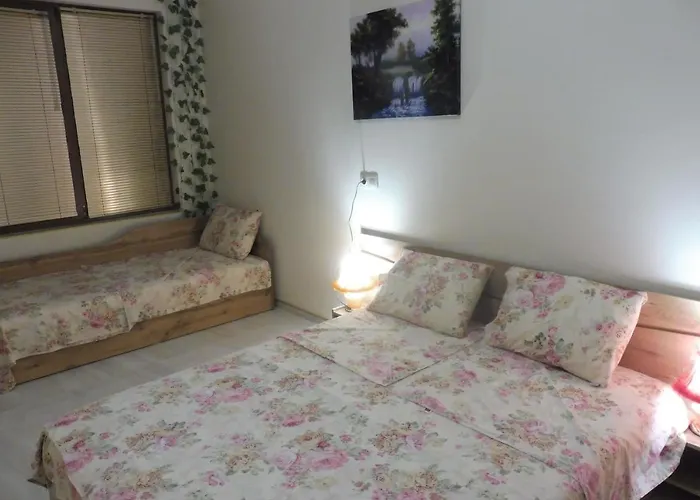 Viktoria Guest house 4*