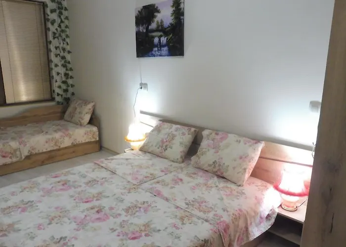 Guest house Viktoria 4*