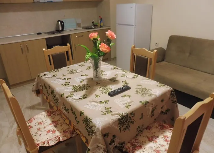 Viktoria Guest house 4*