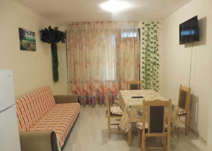 Guest house Viktoria 4*